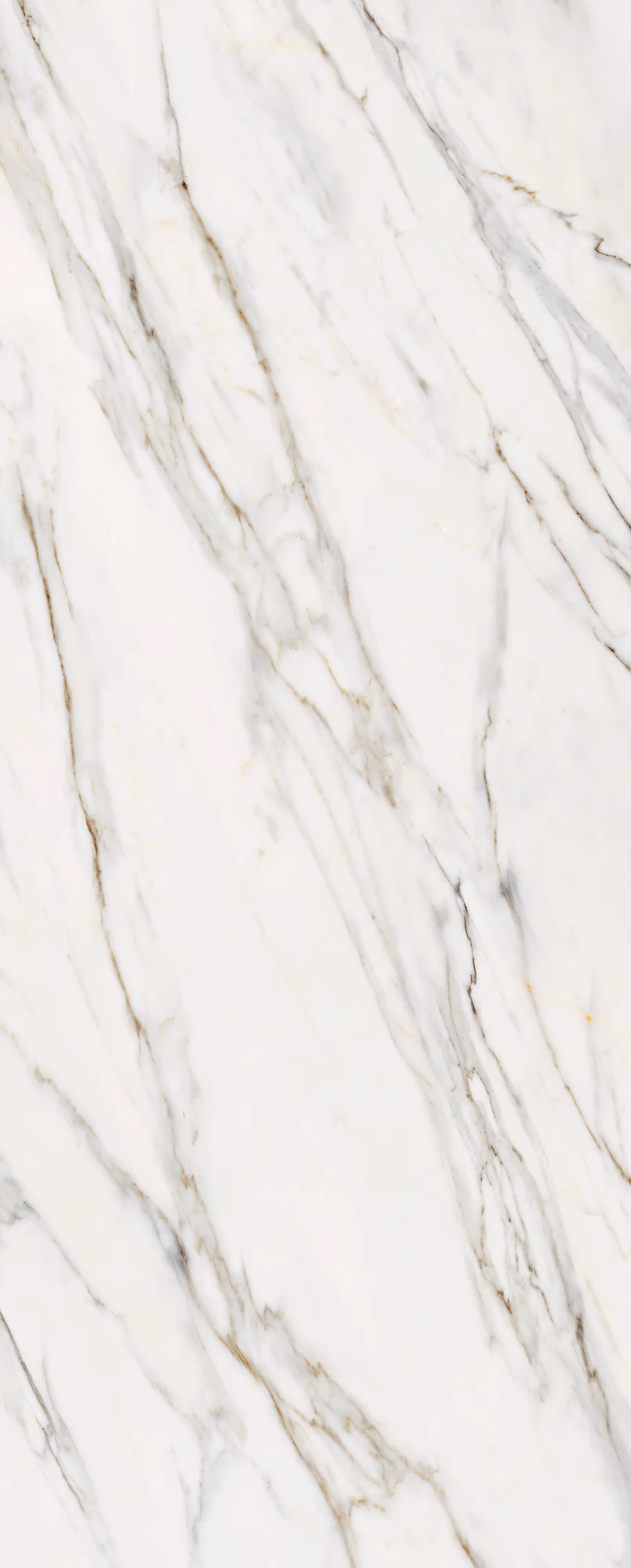 Сalacatta Gold / Калакатта Голд